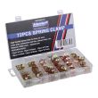 MAC AFRIC 72pcs High-Quality Spring Clamp Set