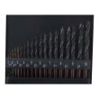 ALPEN 19-Piece Sprint Master HSS Drill Bit Set (1-10mm)