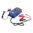 MAC AFRIC 25A 9-Stage 12V High-Efficiency Battery Charger