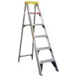 1.8 M Plastic Top Aluminium Ladder